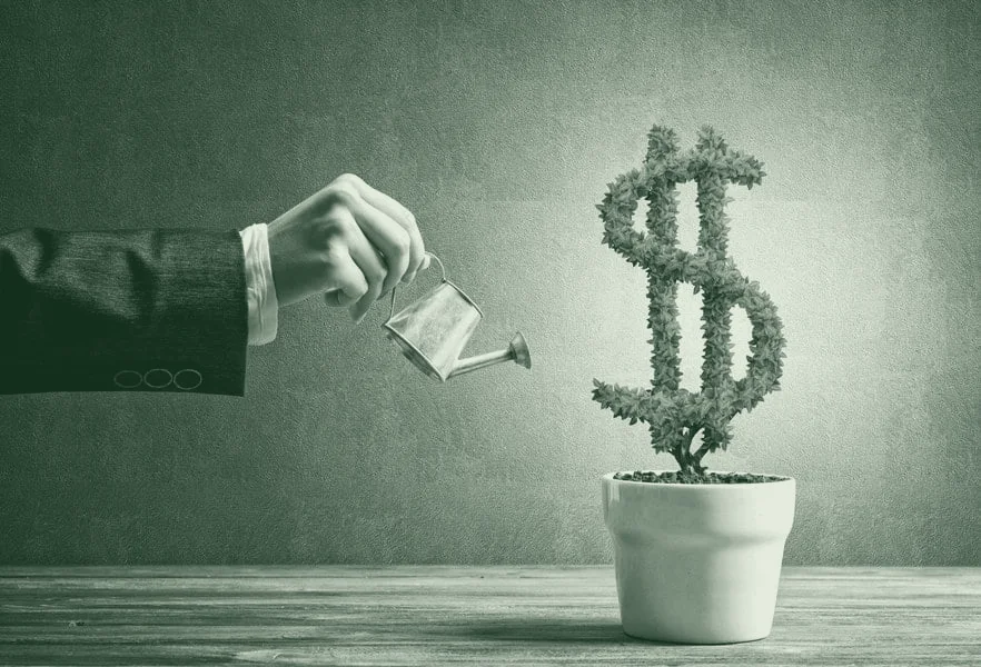 Ilustrație editorială: finanțare care crește ca o plantă îngrijită